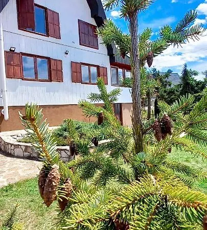 Relja * زلاتيبور