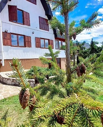 Relja * 즐라티보