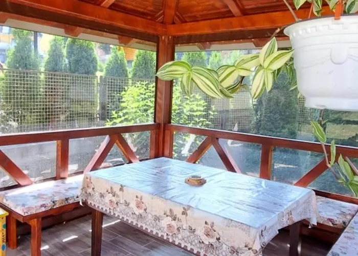 Relja * 즐라티보